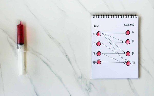 Quel type de récipient en verre est préférable pour la fermentaion des légumes?